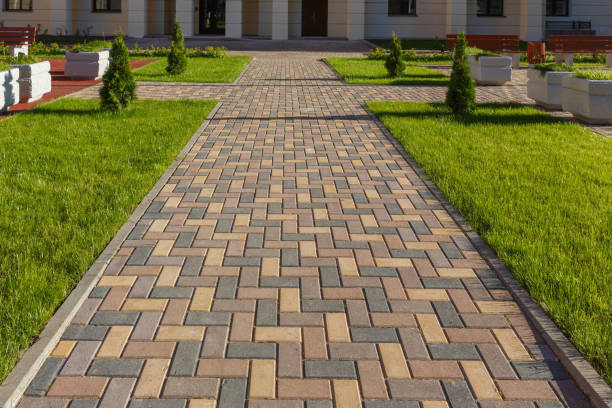 Best Driveway Paving Contractor  in Hazel Crest, IL